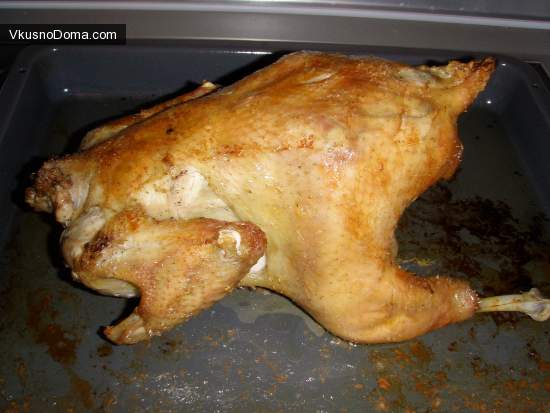 курица-гриль в духовке